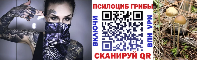 Галлюциногенные грибы Cubensis  Купить закладки  Сергач 